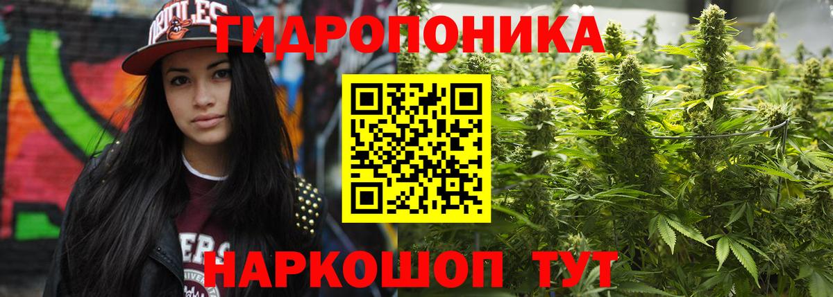 Конопля OG Kush  Вход с VPN  Шишки марихуана MAZAR  МАРИХУАНА THC 21%  Северск 